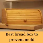 best bread box to prevent mold