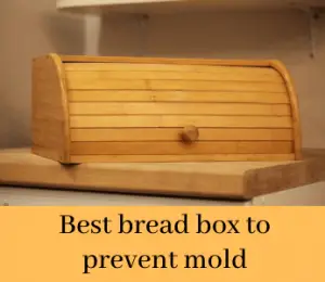 The 10 Best Bread Boxes To Prevent Mold of  2022 (Buyer’s Guide & Reviews)
