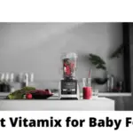 Best Vitamix for Baby Food