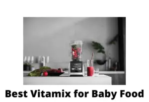 Best Vitamix for Baby Food