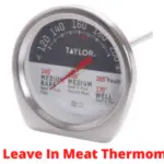 Best Leave In Meat Thermometer