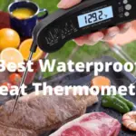 Best Waterproof Meat Thermometer