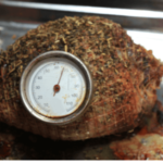 Best Dishwasher Safe Meat Thermometer