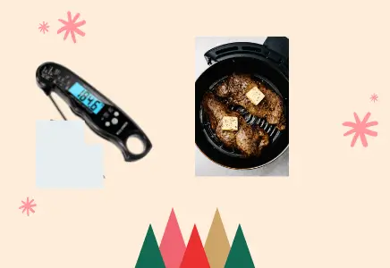 Best Meat Thermometers For Air Fryer