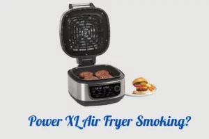 Power XL Air Fryer Smoking