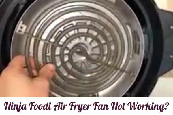 Ninja Foodi Air Fryer Fan Not Working