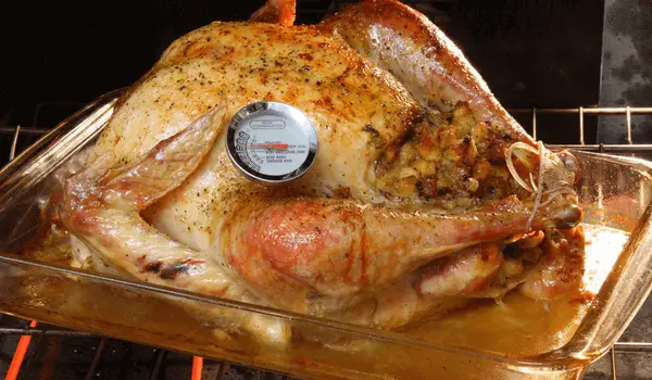 Best Meat Thermometers Made In USA