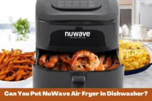 Can You Put NuWave Air Fryer In Dishwasher