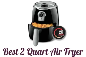 Best 2 Quart Air Fryer