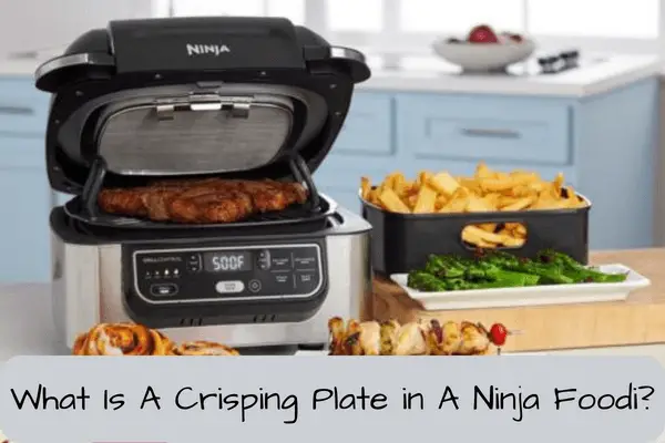 What Is A Crisping Plate in A Ninja Foodi?