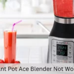 Instant Pot Ace Blender Not Working