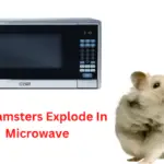 Do Hamsters Explode In Microwave