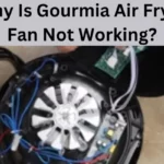 Why Is Gourmia Air Fryer Fan Not Working