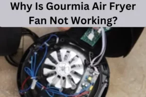 Why Is Gourmia Air Fryer Fan Not Working