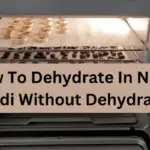 How To Dehydrate In Ninja Foodi Without Dehydrator