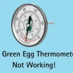 Big Green Egg Thermometer Not Working