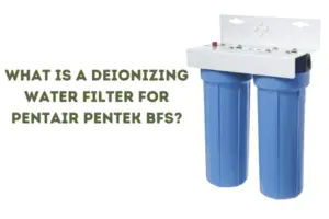 What is a deionizing water filter for Pentair Pentek BFS