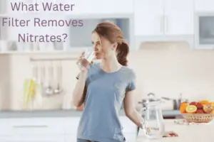 What Water Filter Removes Nitrates