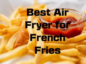 Best Air Fryer for French Fries