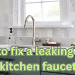How to fix a leaking moen kitchen faucet