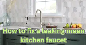 How to fix a leaking moen kitchen faucet