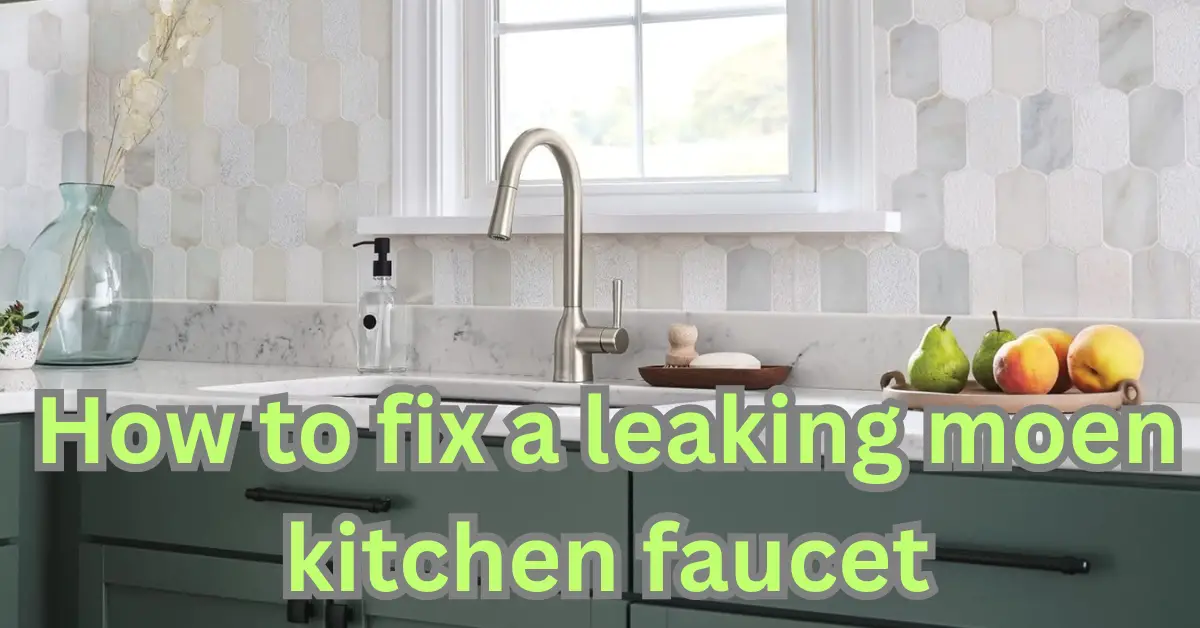How To Fix A Leaking Moen Kitchen Faucet