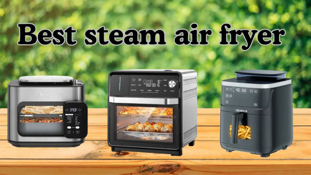 best steam air fryer