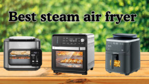 best steam air fryer