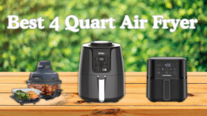 Best 4 Quart Air Fryer