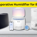 best evaporative humidifier for bedroom