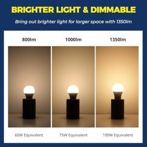 Best Outdoor Smart Bulb