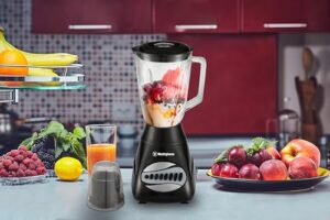 Best 220V Blender