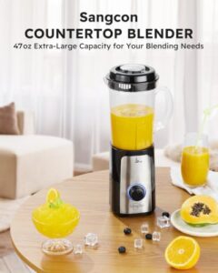 Best Blender For Meat