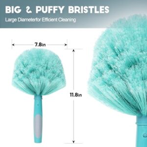 Best Outdoor Cobweb Duster