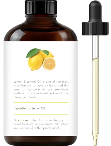 Best Blender For Whole Lemons