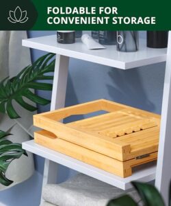 Best Bath Tub Tray