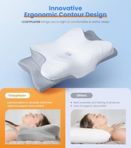 Best Back Sleeping Pillows
