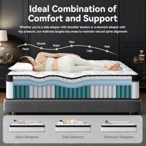 Best Mattresses In Box