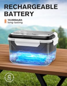 Best Cordless Lunch Box