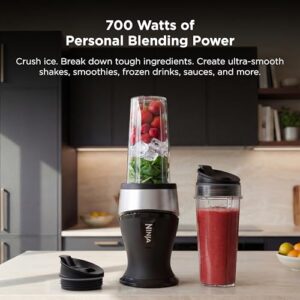 Best 12 Volt Blender