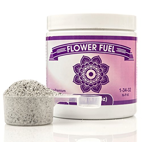 Best Bud Booster For Soil