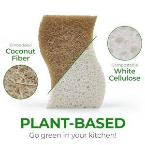 Best Non Plastic Sponges