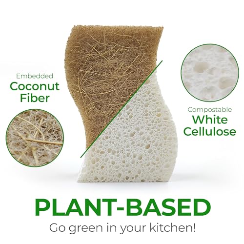 Best Non Plastic Sponges
