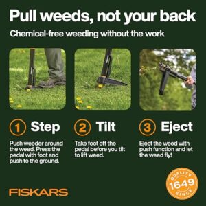 Best Crabgrass Removal Tool