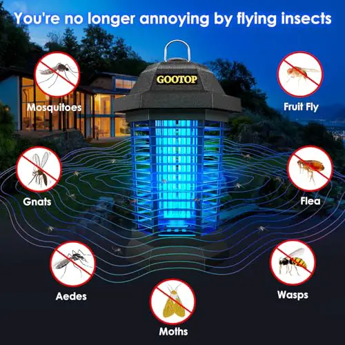 Best Outdoor Fly Control
