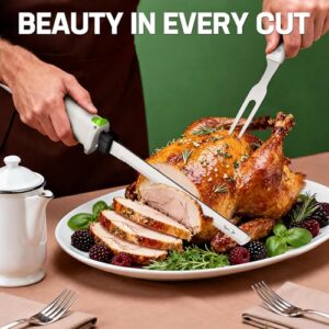 Best Cordless Carving Knife