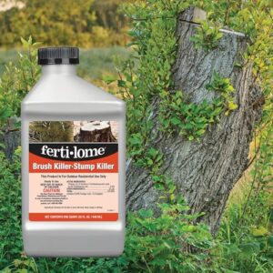 Best Brush Killer For Trees