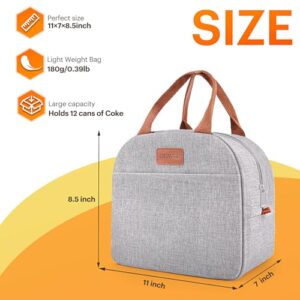 Best Lunch Totes For Adults