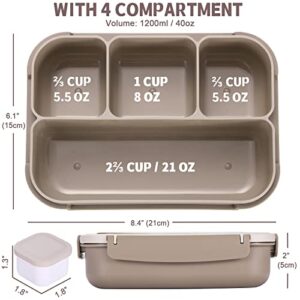 Best Lunch Container For Adults