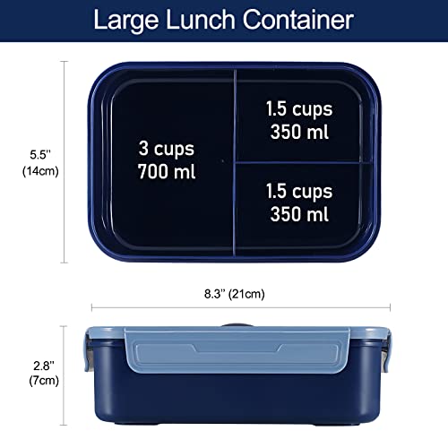 Best Lunch Boxes For High Schoolers